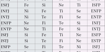 关于MBTI人格类型动力学简述 关于MBTI人格类型动力学简述