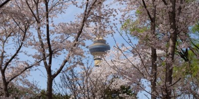 摄影作品集 摄影作品集