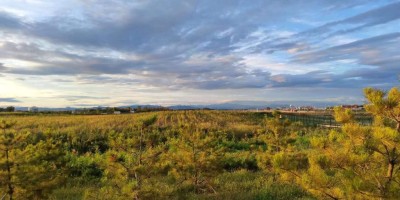 北京首都国际机场画廊 北京首都国际机场画廊